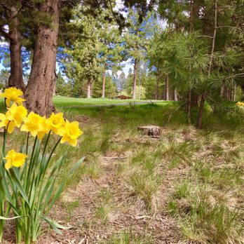 Quail Park - Daffodil walk and pavilion in distance - Parks Near Me - Bend, Oregon