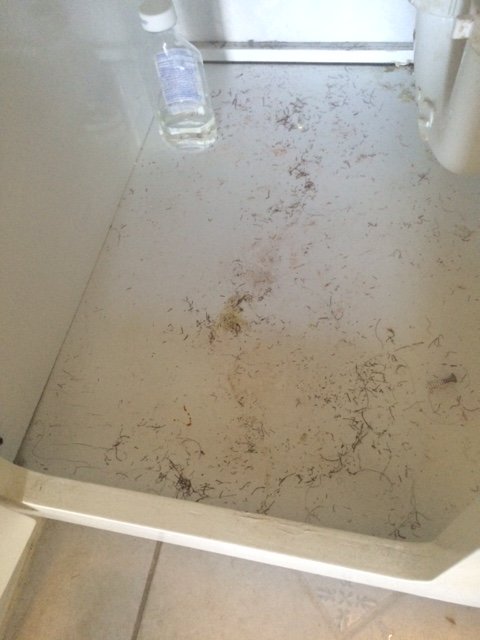 Slide of Allen Customize Cleaning