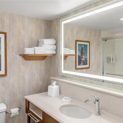Hampton Inn Kansas City/Shawnee Mission - Guest room bath