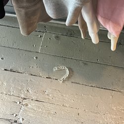 Sellwood Union - Invisalign