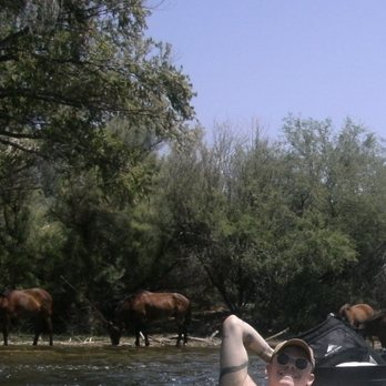 Salt River Tubing - Wild Horses Crossing - Rafting/Kayaking Near Me - Mesa, Arizona Salt River Tubing - Wild Horses Crossing - Rafting/Kayaking Near Me - Mesa, Arizona