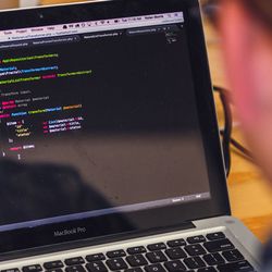 White Lion Interactive - Custom Web Development