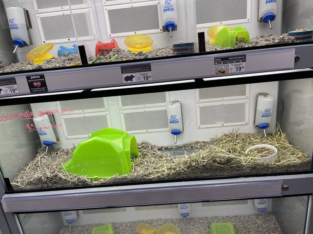 PETCO 3333 South Glenstone Ave, Springfield, Missouri Pet Training