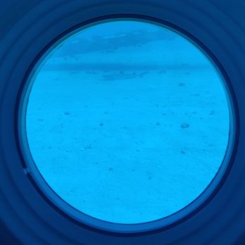 Atlantis Submarines Waikiki - Kids Activities Near Me - Honolulu, Hawaii