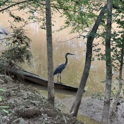 Martin Farm Park