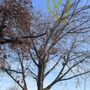 Photo of Peterson Park