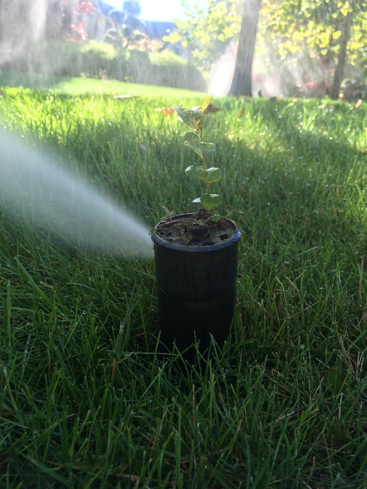 Slide of Albert Irrigation
