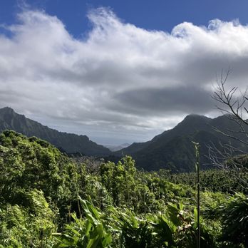 Puu Ohia Trail - Hiking Near Me - Honolulu, Hawaii