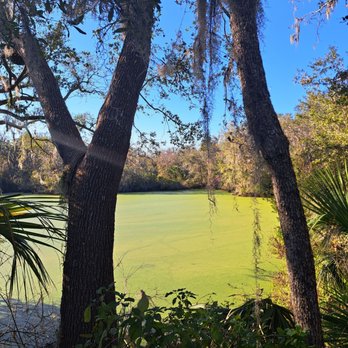 Alafia River State Park - Hiking Near Me - Lithia, Florida