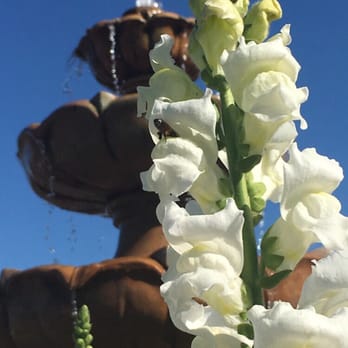 The Flower Fields - Venues & Event Spaces Near Me - Carlsbad, California