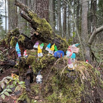 Gnomes Trail - Hiking Near Me - Maple Valley, Washington Gnomes Trail - Hiking Near Me - Maple Valley, Washington