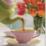 Photo of Point Loma Tea