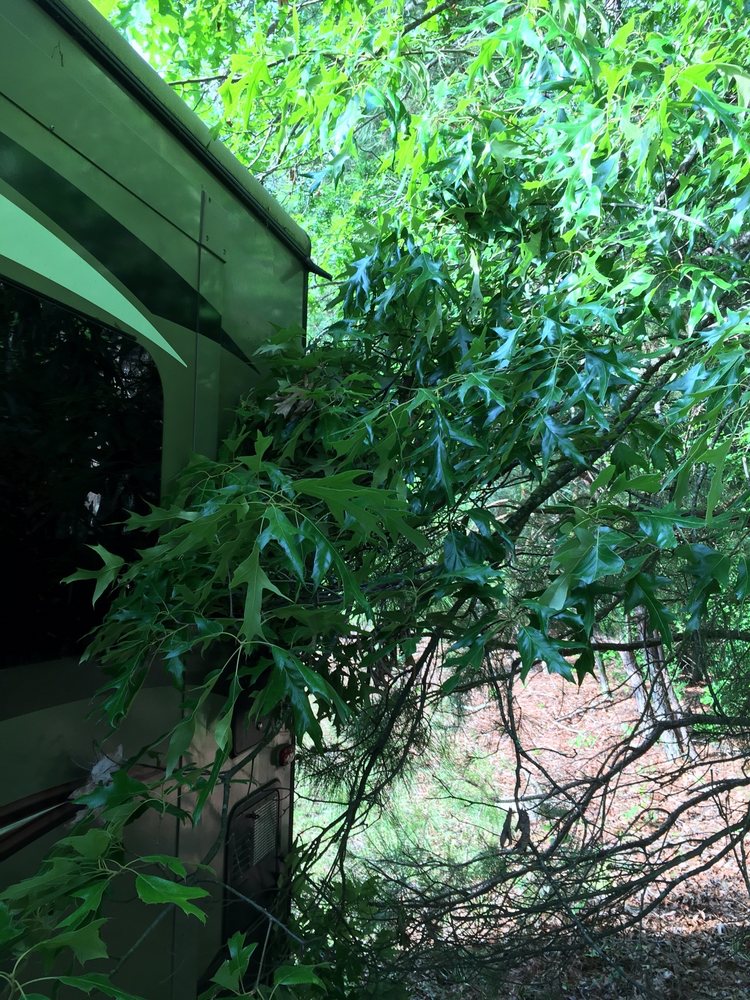 FUQUAY STORAGE Updated April 2024 1238 S Main St, Fuquay Varina