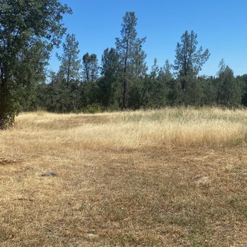 City of Redding - unkept field next to our home. - Municipality Near Me - Redding, California City of Redding - unkept field next to our home. - Municipality Near Me - Redding, California