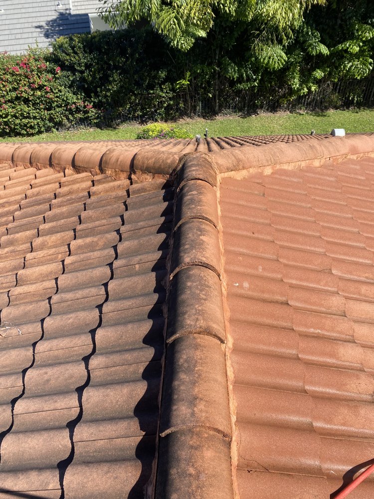 Slide of Renew Roof Cleaning