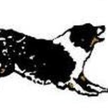 Pets Wishes - Pet Groomers Near Me - Saint James, New York Pets Wishes - Pet Groomers Near Me - Saint James, New York