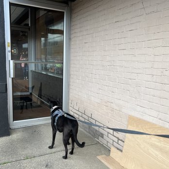 Underdog BBQ - Our girl doesn't want to leave. - Barbeque Near Me - Erie, Pennsylvania Underdog BBQ - Our girl doesn't want to leave. - Barbeque Near Me - Erie, Pennsylvania