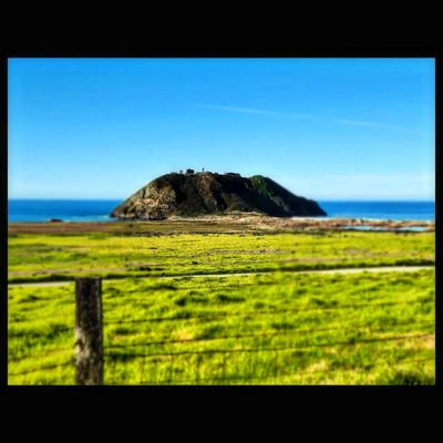 Point Sur State Historic Park by null