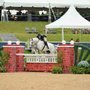 Photo of Schroeder Sporthorses