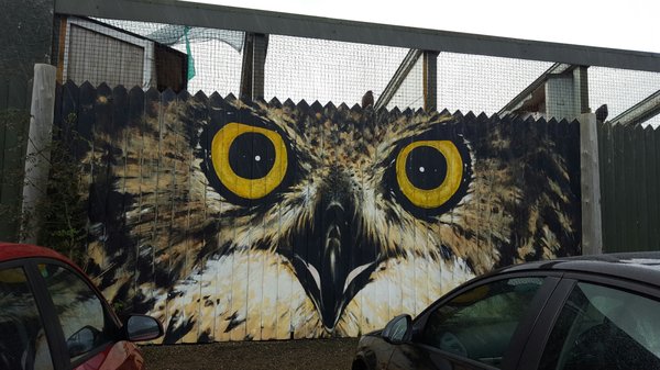 Aillwee Burren Experience by null