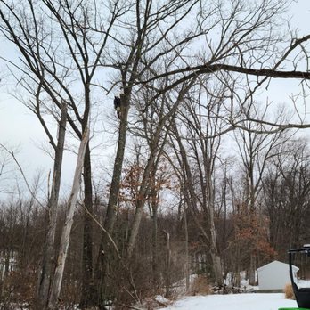 Thompson Tree Service - Tree Services Near Me - Kirtland, Ohio Thompson Tree Service - Tree Services Near Me - Kirtland, Ohio