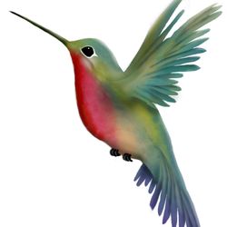 Wandering Hummingbird Massage