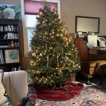 HILLSIDE CHRISTMAS TREE FARM - Updated October 2024 - 17 Photos - 14745 