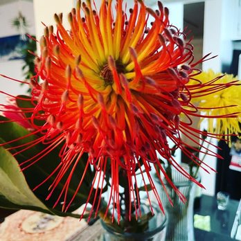 Thistle - Florists Near Me - San Diego, California