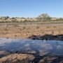 Rio Grande Nature Center State Park
