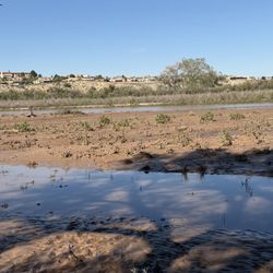 Rio Grande Nature Center State Park - The water in the background is part of the Rio Grande.