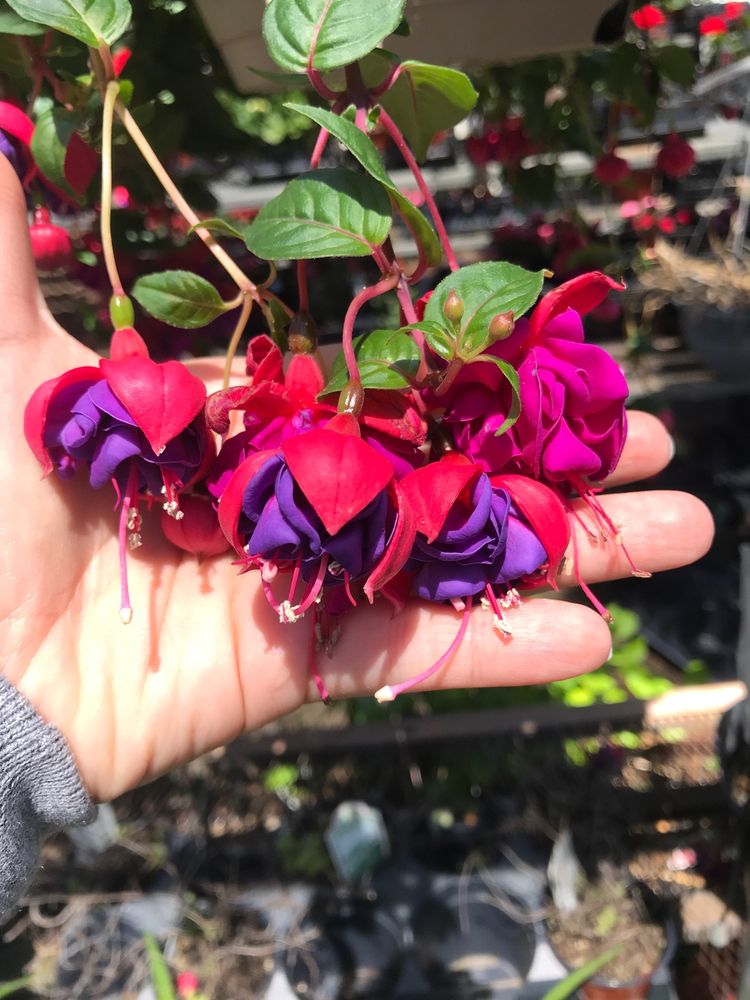 MEADOWLANDS HARDWARE PLUMBING & ELECTRICAL SUPPLY Updated May 2024