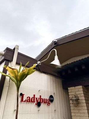 Ladybug Café by null