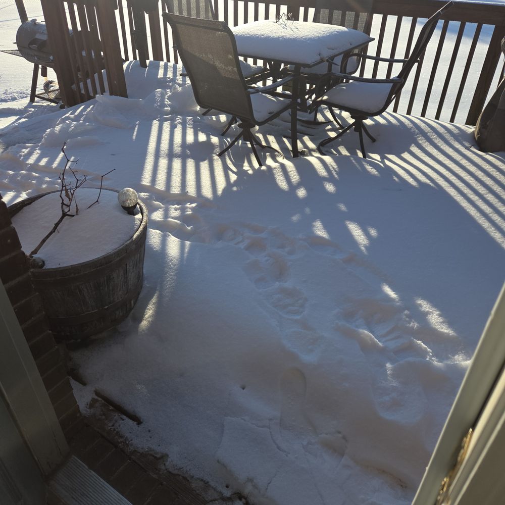 TerraCraft Outdoors - Back deck - Snow Removal Near Me TerraCraft Outdoors - Back deck - Snow Removal Near Me