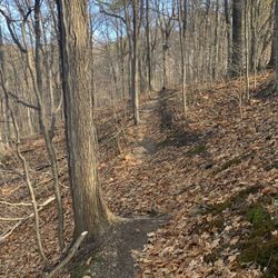 Horizon Hill Conservation Area