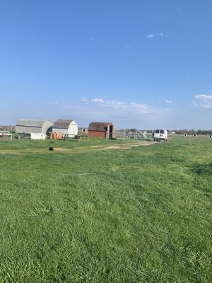 Browder’s Birds by null