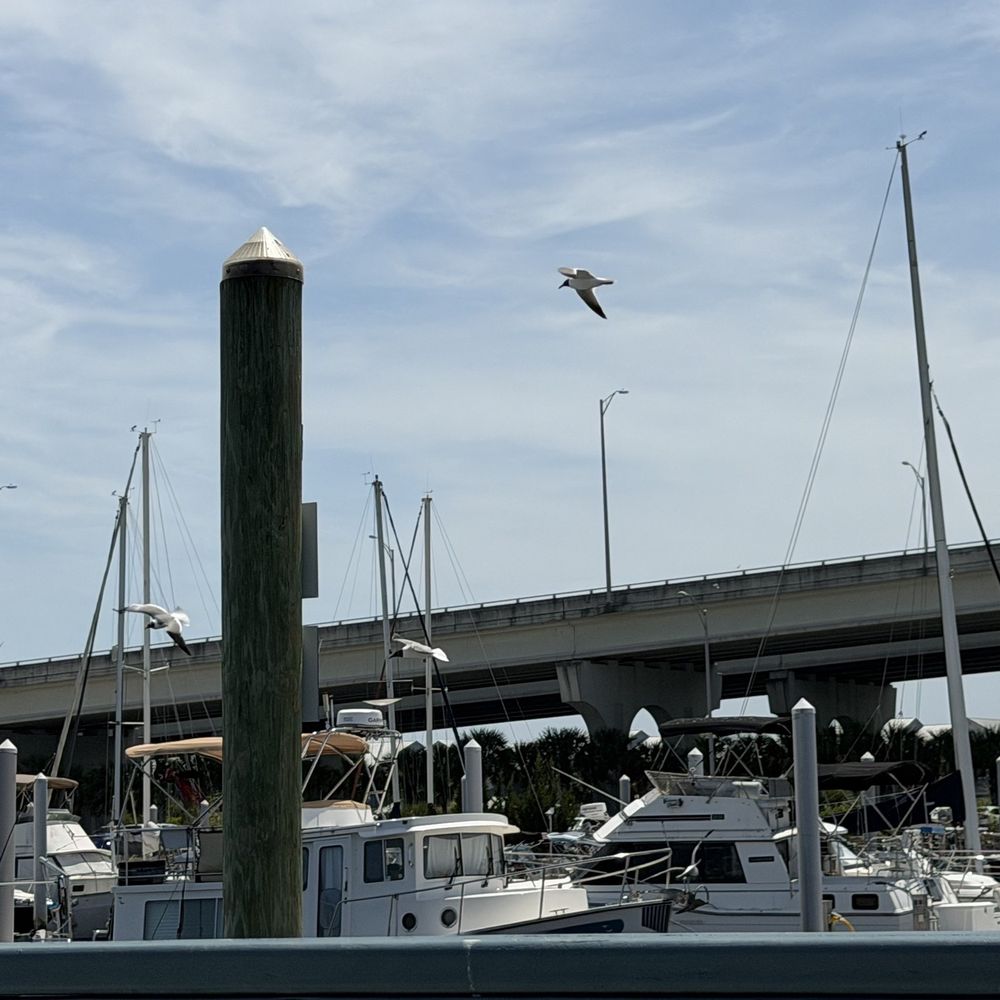 Dockside Seafood Restaurant - Scenery - Seafood Near Me - Jacksonville Beach, Florida Dockside Seafood Restaurant - Scenery - Seafood Near Me - Jacksonville Beach, Florida
