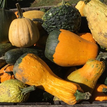 Riverview Farm - Fruits & Veggies Near Me - Plainfield, New Hampshire