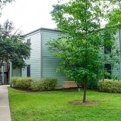 Eudaimonia Recovery Homes