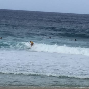 Oahu Nature Tours - Tours Near Me - Honolulu, Hawaii Oahu Nature Tours - Tours Near Me - Honolulu, Hawaii