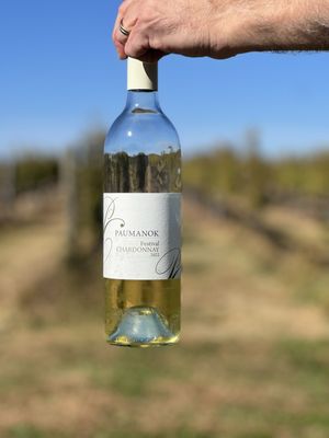Paumanok Vineyards by null