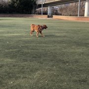 Photo of Schuylkill River Dog Run - Philadelphia, PA, United States