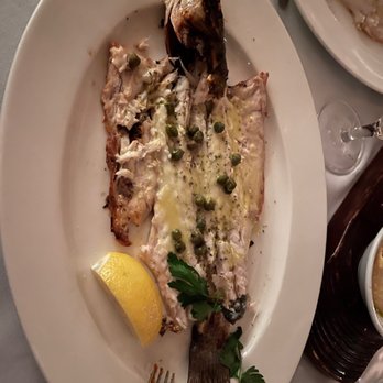 Estia - Lavraki - Greek Near Me - Philadelphia, Pennsylvania