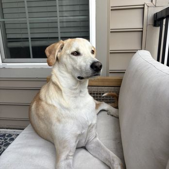 Eastpoint Veterinary Clinic - Max now! - Veterinarians Near Me - Louisville, Kentucky Eastpoint Veterinary Clinic - Max now! - Veterinarians Near Me - Louisville, Kentucky