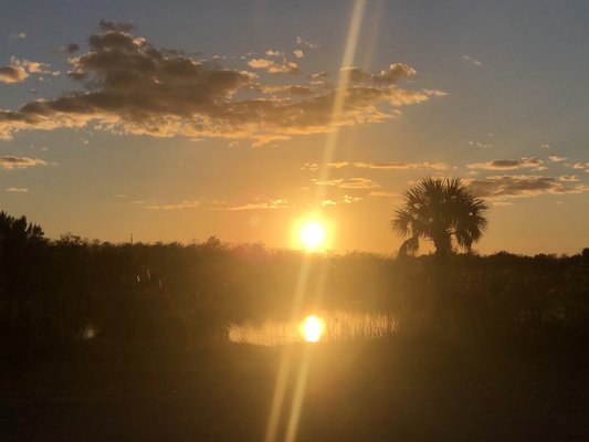 Fakahatchee Strand Preserve State Park by null