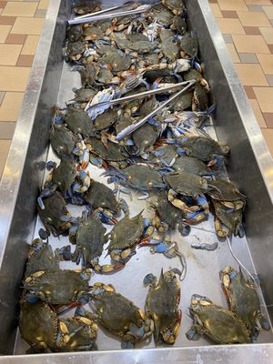 Seafood City Supermarket by null