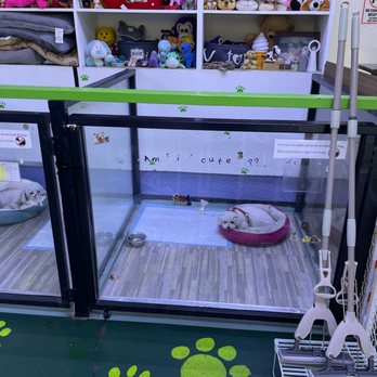 Puppy & I - Dogs are so happy here - Pet Groomers Near Me - Los Angeles, California