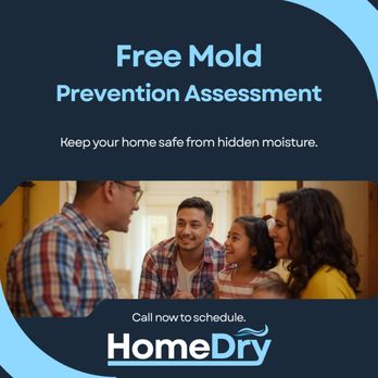 HomeDry - Hidden moisture leads to mold. We offer free checks to catch problems before they grow. - Damage Restoration Near Me