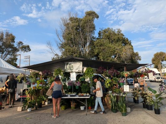 Pacific Beach Tuesday Farmers' Market by null