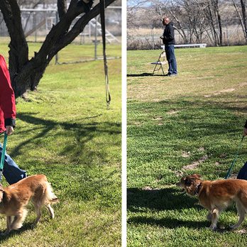 Hillside K9 Academy - Pet Training Near Me