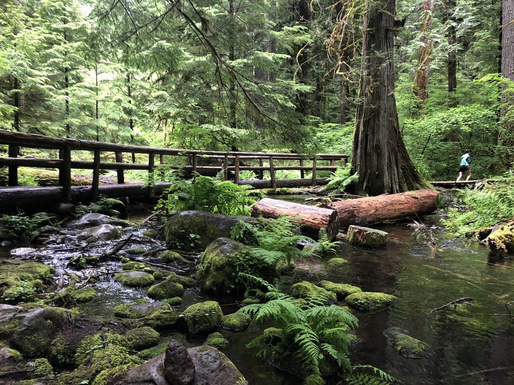 TAMOLITCH FALLS THE BLUE POOL Updated April 2024 86 Photos & 21